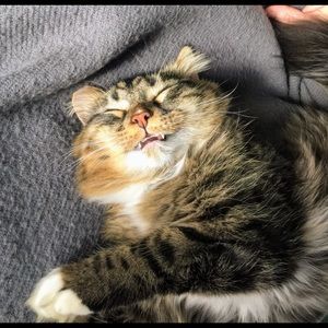 Meet your Posher, Robin